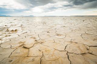 Desert Bliss Horse Trailer on the Alvord Desert - 7