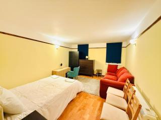 Luxury Apartment Near Central London - 7