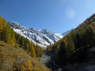 Apartment Chesa Robbi S-chanf by Interhome - 6