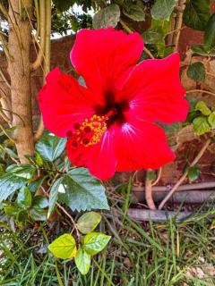 Appartement de luxe Marrakech - Targa - 8
