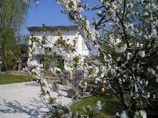 Apartment Moderne Studiowohnung im Obergeschoss mit Balkon by Interhome - 9