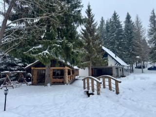 Cabana Bradul Adelinei - 3