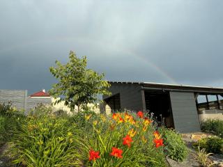 Apartment Chalet Houbovy vrch by Interhome - 4