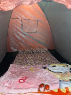 Bafana Bafana Nile View Guest House - 3