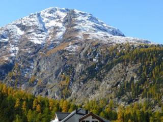 Apartment Chesa Tramèr by Interhome - 3