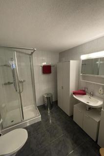 Apartment Chesa Thom - ÖV inklusive by Interhome - 3