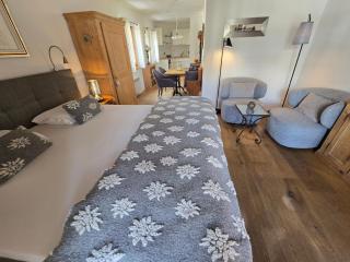 Apartment Chesa Blais by Interhome - 6