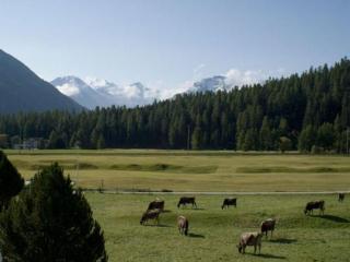 Apartment Chesa Bellavista by Interhome - 6