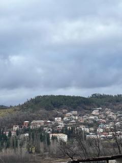 Aparthotel Green Flower - 6