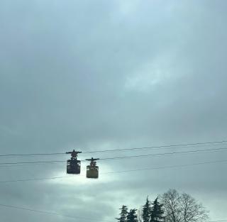 Aparthotel Green Flower - 5