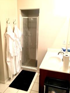 Luxury @ National Harbor Waterfront, Gaylord & MGM - 5