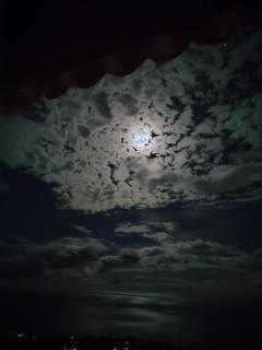 Lourdes 1 casa compartida solo con la anfitriona - Breña Baja - 3