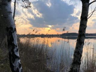 Apartment Tälerblick 2 by Interhome - 8