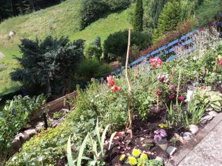 Apartment Haus Wiesental by Interhome - 3