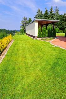 Holiday Home Ferienhaus by Interhome - 5