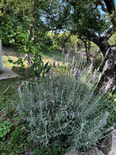 Cabañas Refugio del Alma - 6