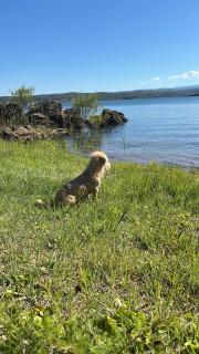 Cabañas Refugio del Alma - 5