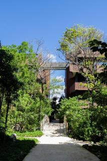 Art House - Filtered Water & 2 Free Beach Clubs Tulum Hotel Zone - 8