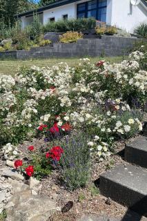 Holiday Home Feriendorf E44 by Interhome - 0