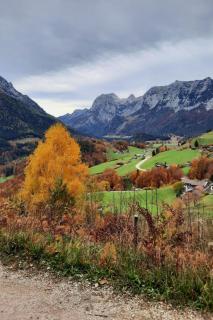 Apartment Fewo Rheinfeld by Interhome - 1