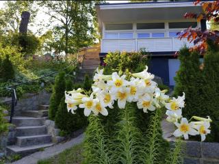 Holiday Home in Süd-Waldhanglage mit Seeblick by Interhome - 8