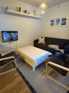 Oppheim Mountain Resort - Pool, Sauna & Lake! - 7