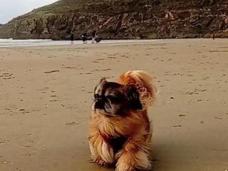 Holiday Home Cap Coz Cottage 500m vom Sandstrand entfernt by Interhome - 2