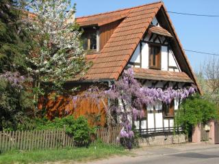 Apartment Gemütliches Appartement in Betschdorf by Interhome - 9