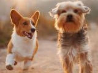 Holiday Home Haus freistehend Sonne Bett 160cm Patio billig by Interhome - 6