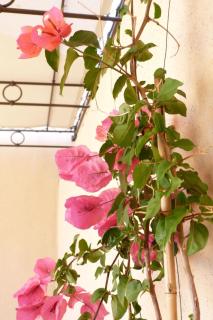 Holiday Home 'Vista di Sognu Casa Olivea' by Interhome - 6