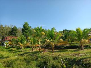 Bansuan Lanta Maikaew - 4