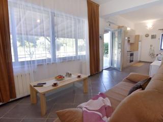 Apartment Zweizimmerwohnung mit großer Terrasse in Grupija bei Umag by Interhome - 8