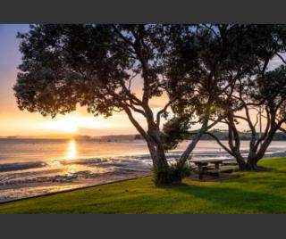 Beachfront Bliss - 0