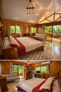 Monkey House, Monterrey - San Cristóbal - 9