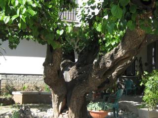Hotel da Rosanna - 0