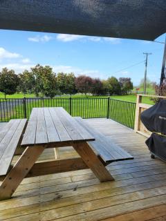 Mill Road Retreat Ohaupo - 6