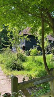 3 bedroom remote rural idyll on the North Downs - 4