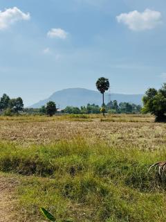 Eco Lotus Kampot - 4