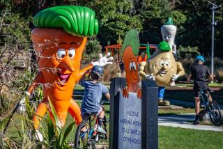 Ohakune's Yellow Door - 3