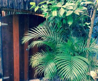 Canto do Buganville - 1