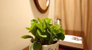 GreenTree Inn Huaian Gaogou Town First Street Shell Hotel - 4