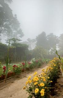 Dheer- BnB at an Artist's Abode - 2