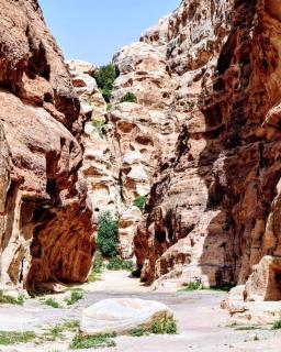 Authentic bedouin experience - Cave in Little Petra - 7