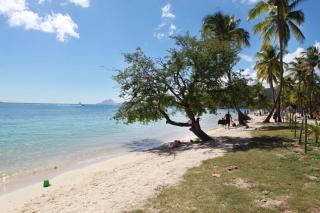 Séjours d'Estelle à Sainte-Anne - Plage de la Pointe Marin à 400m ! - 4