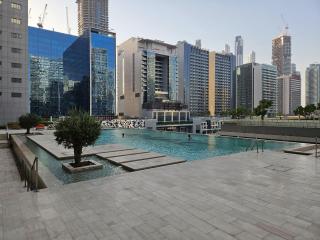DAMAC Majestine Studio with Pool, Spa and Gym Near Bus & DubaiMall - 9