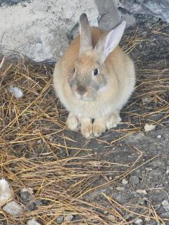 Tamboti Farm Self-Catering Accommodation - 8