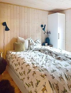 Modern Cabin With Views In Sirdal - 2