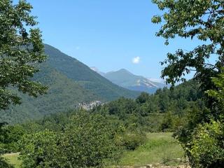 Acogedor apartamento a las puertas de Ordesa - 6