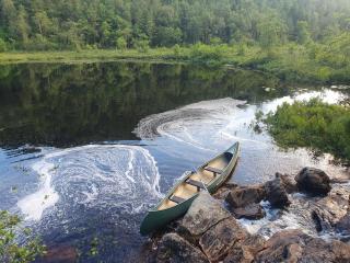 Gluba Treetop Cabins Elgposten - 9