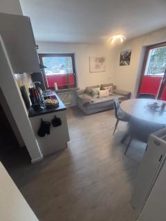 Appartement Wanneck - Biberwier - 1